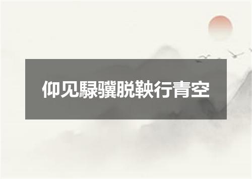 仰见騄骥脱鞅行青空