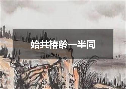 始共椿龄一半同