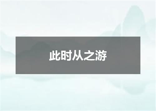 此时从之游