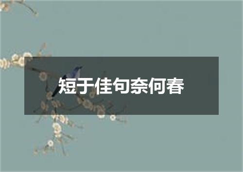 短于佳句奈何春