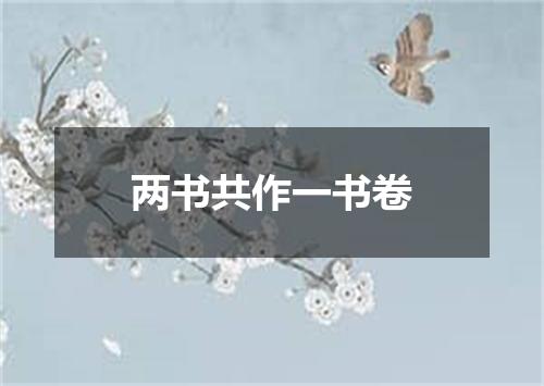 两书共作一书卷