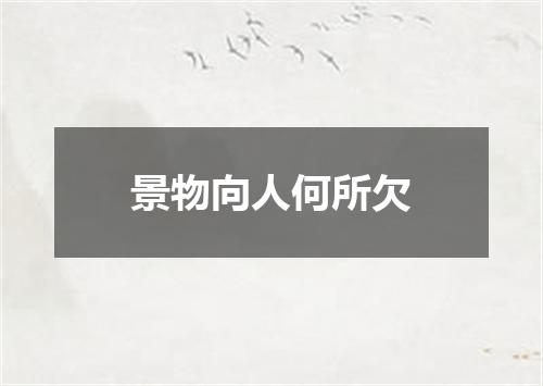 景物向人何所欠