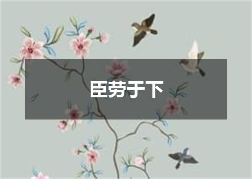 臣劳于下