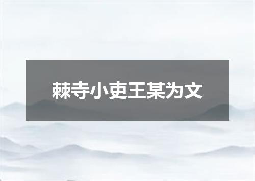 棘寺小吏王某为文
