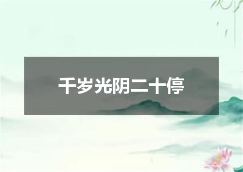 千岁光阴二十停