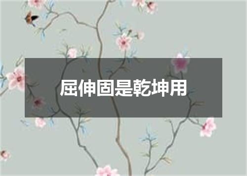 屈伸固是乾坤用