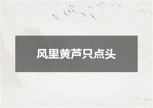 风里黄芦只点头