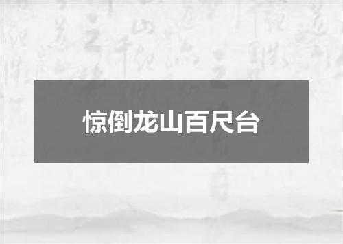 惊倒龙山百尺台