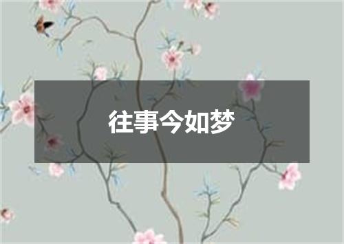 往事今如梦