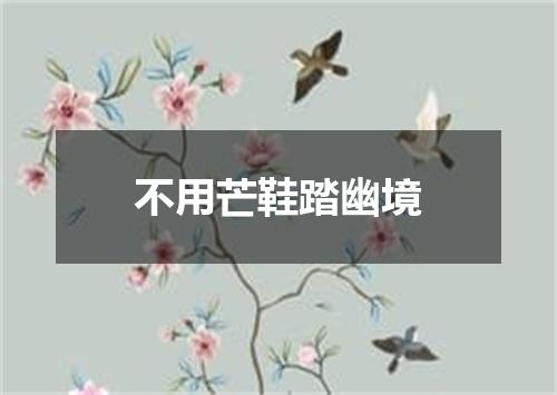 不用芒鞋踏幽境