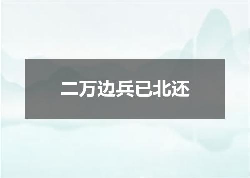 二万边兵已北还