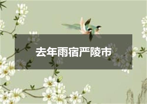 去年雨宿严陵市
