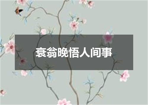 衰翁晚悟人间事