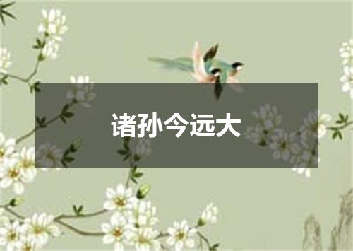 诸孙今远大