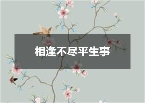 相逢不尽平生事