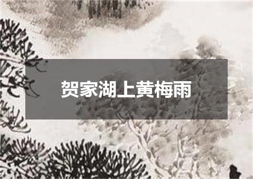 贺家湖上黄梅雨