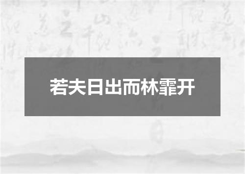 若夫日出而林霏开