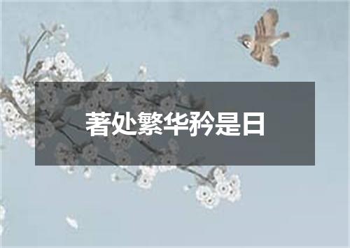 著处繁华矜是日