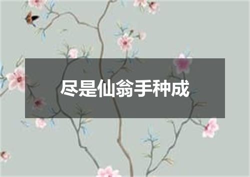 尽是仙翁手种成