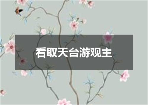 看取天台游观主