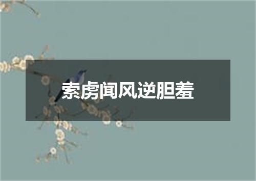 索虏闻风逆胆羞