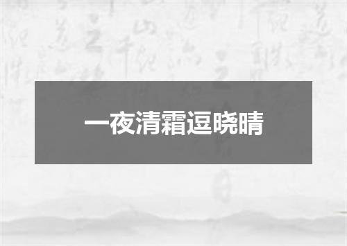 一夜清霜逗晓晴