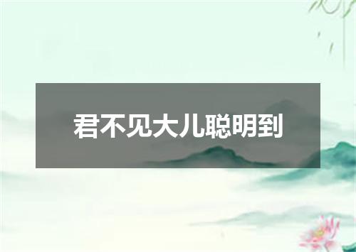 君不见大儿聪明到