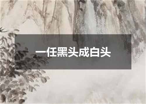 一任黑头成白头