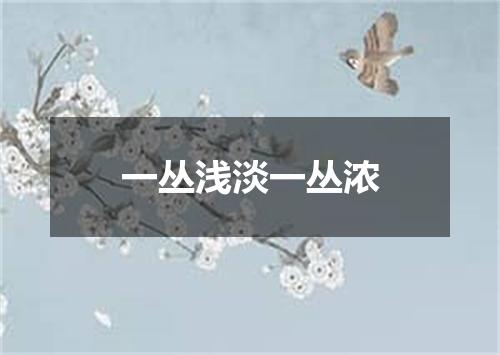 一丛浅淡一丛浓