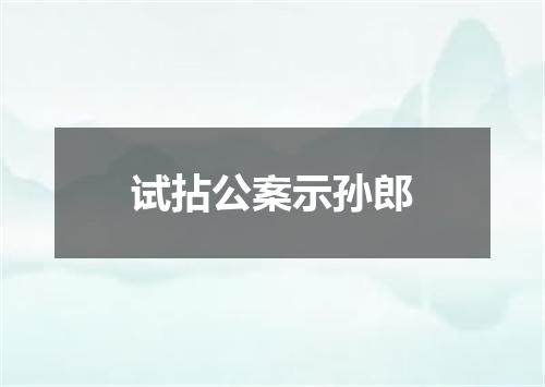 试拈公案示孙郎