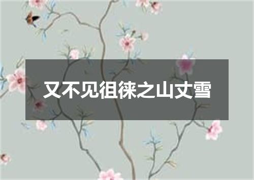 又不见徂徕之山丈雪