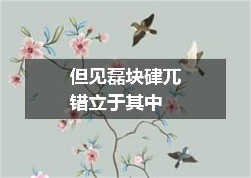 但见磊块硉兀错立于其中