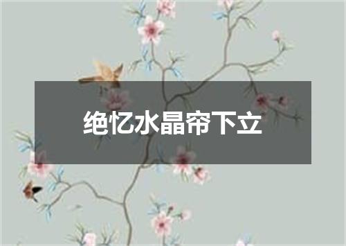 绝忆水晶帘下立