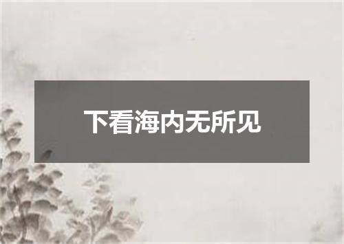 下看海内无所见
