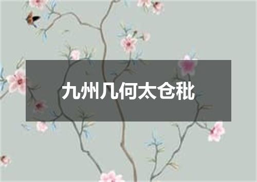 九州几何太仓秕