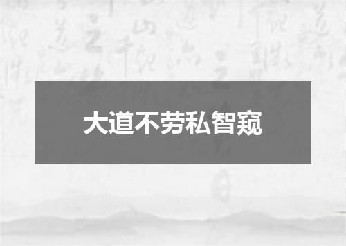 大道不劳私智窥