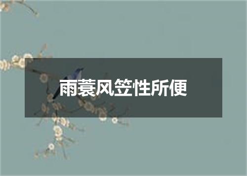 雨蓑风笠性所便