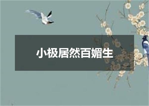 小极居然百媚生