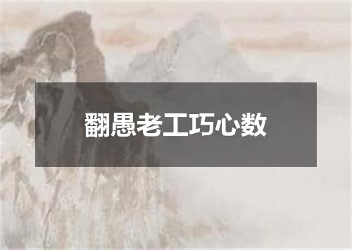 翻愚老工巧心数