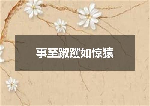 事至踧躩如惊猿