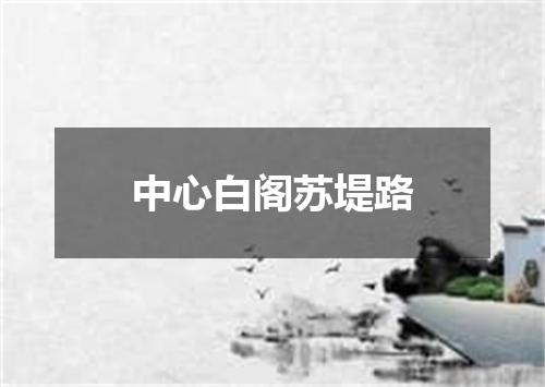 中心白阁苏堤路