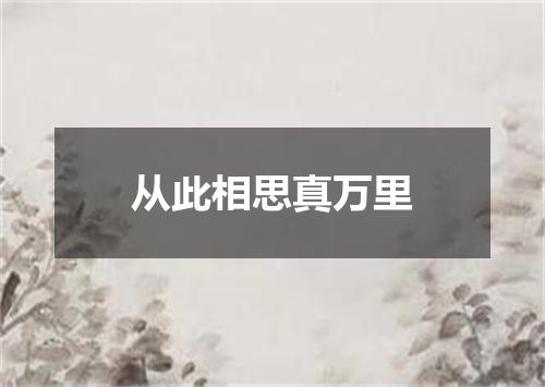 从此相思真万里