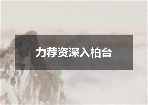 力荐资深入柏台