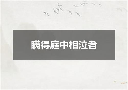瞒得庭中相泣者