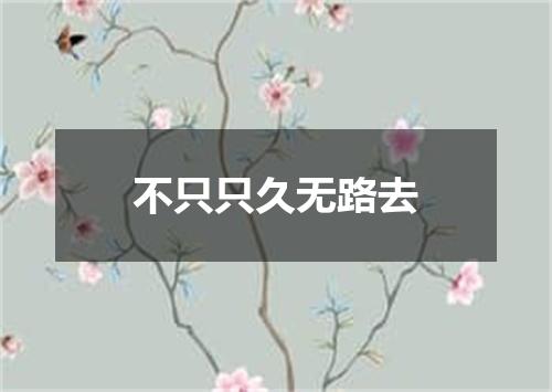 不只只久无路去