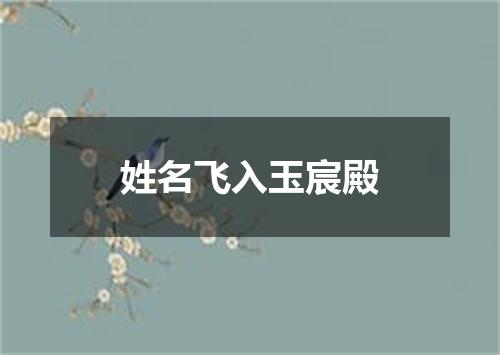 姓名飞入玉宸殿