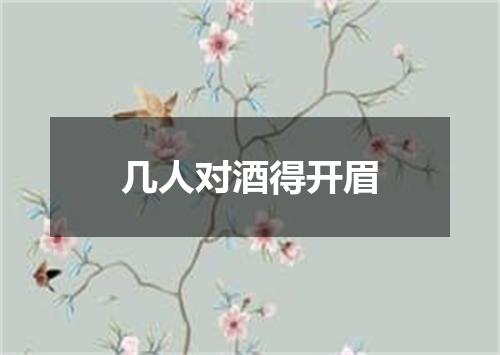 几人对酒得开眉