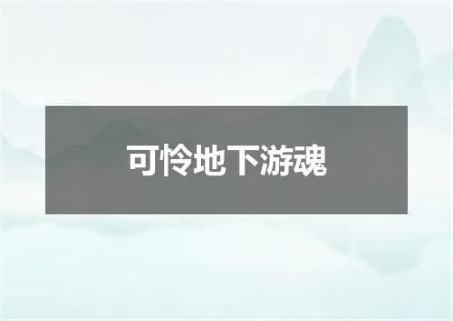 可怜地下游魂