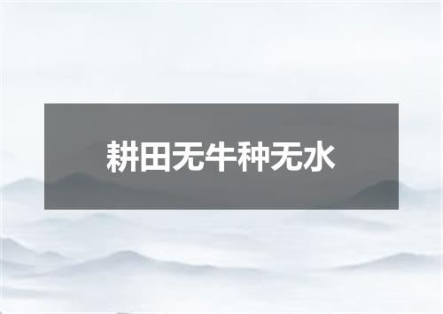 耕田无牛种无水