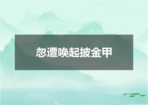 忽遭唤起披金甲